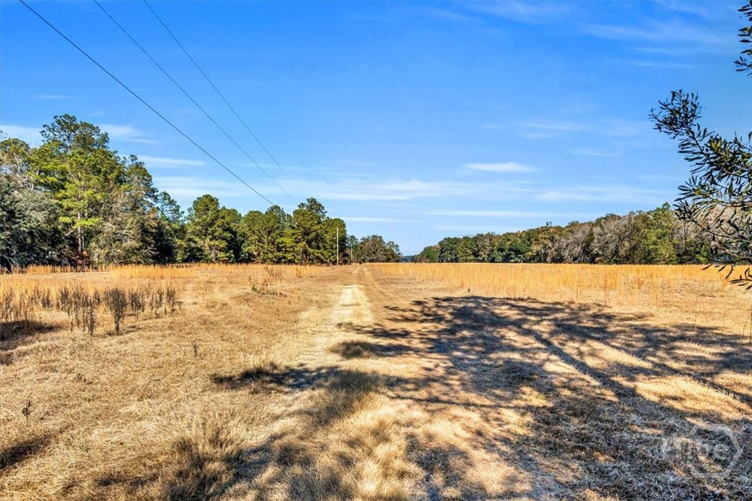 580 Old Gress Island Road Midway, GA 31320 - Photo 16 of 38