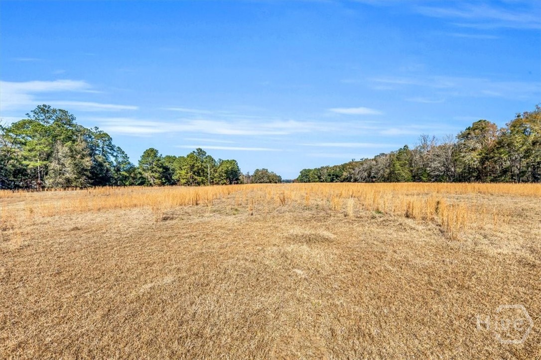 580 Old Gress Island Road Midway, GA 31320 - Photo 17 of 38