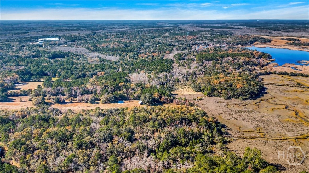 580 Old Gress Island Road Midway, GA 31320 - Photo 21 of 38