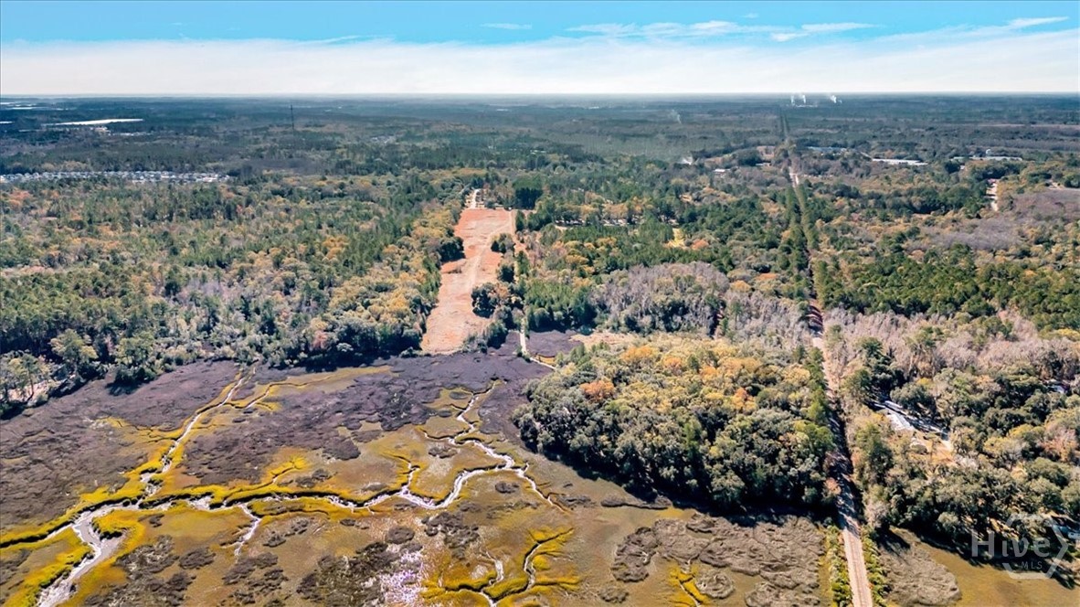 580 Old Gress Island Road Midway, GA 31320 - Photo 28 of 38