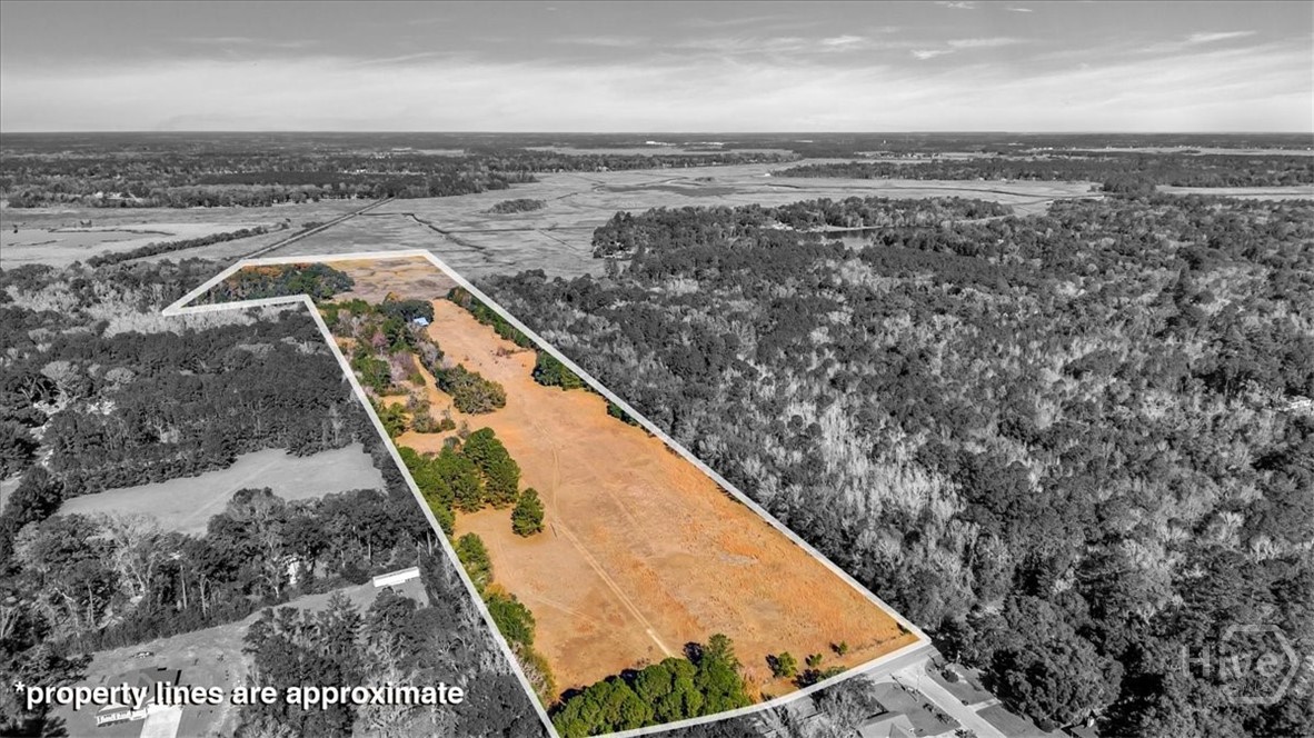 580 Old Gress Island Road Midway, GA 31320 - Photo 34 of 38