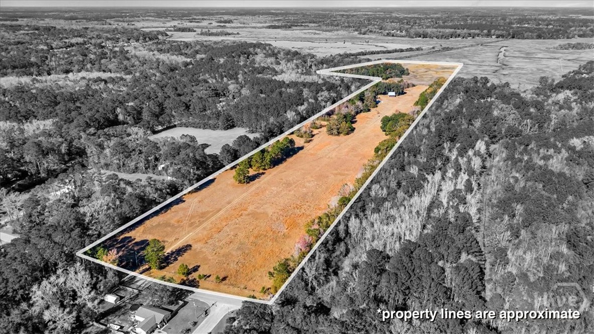 580 Old Gress Island Road Midway, GA 31320 - Photo 35 of 38