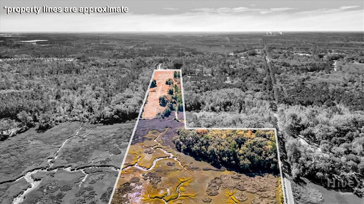 580 Old Gress Island Road Midway, GA 31320 - Photo 37 of 38