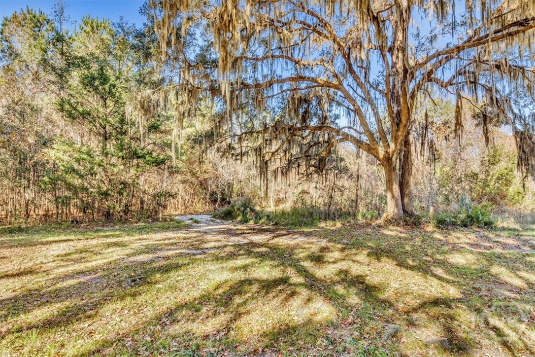 580 Old Gress Island Road Midway, GA 31320 - Photo 6 of 38