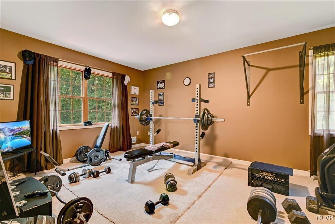 116 Mink Lane Bushkill, PA 18324 - Photo 21 of 38