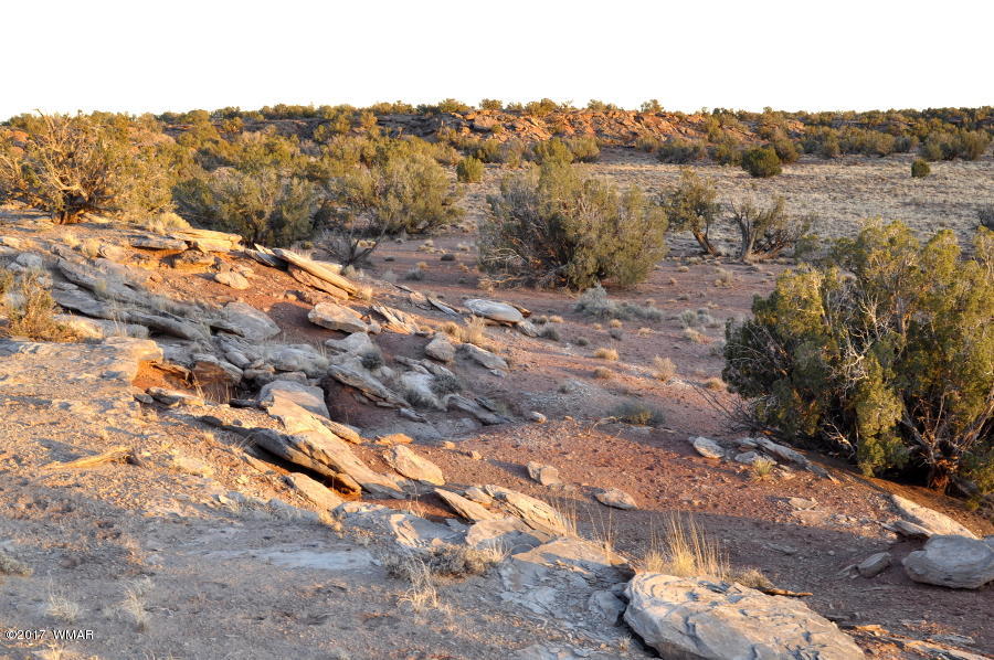 Lot 449 Woodridge Ranch Concho, AZ 85924 - Photo 2 of 9
