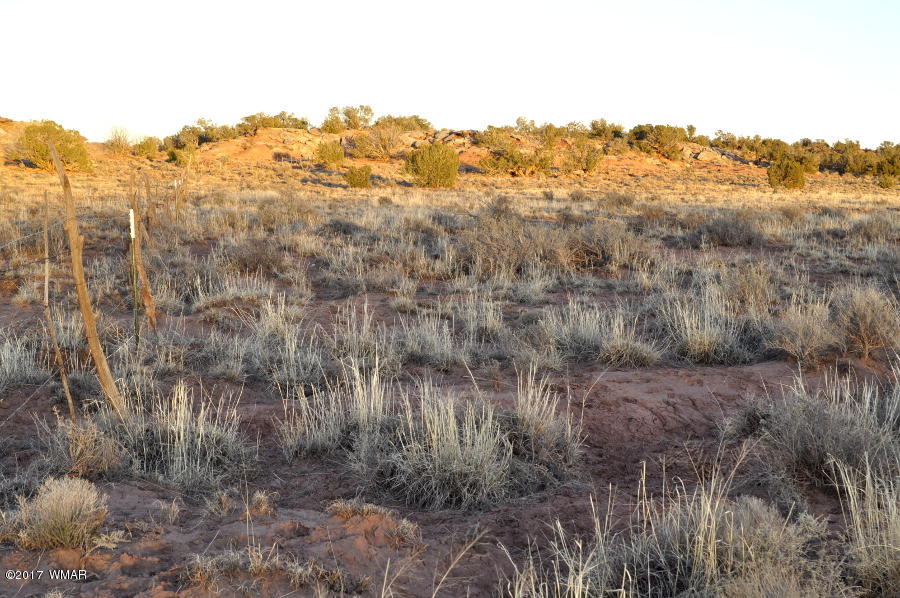 Lot 449 Woodridge Ranch Concho, AZ 85924 - Photo 3 of 9