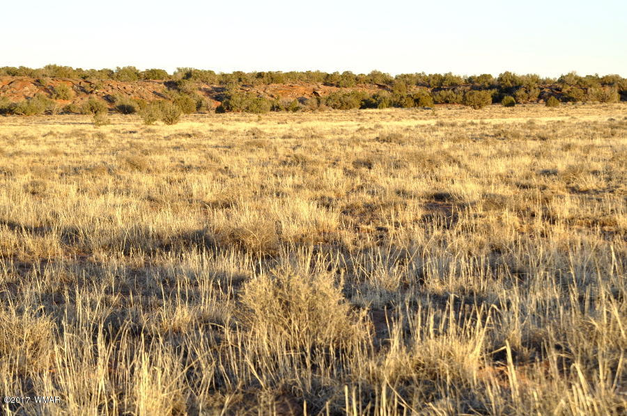 Lot 449 Woodridge Ranch Concho, AZ 85924 - Photo 4 of 9