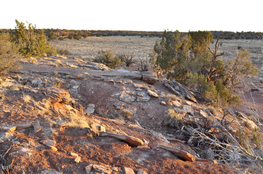 Lot 449 Woodridge Ranch Concho, AZ 85924 - Photo 5 of 9