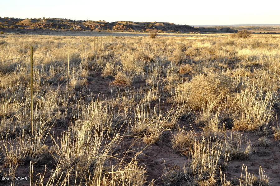 Lot 449 Woodridge Ranch Concho, AZ 85924 - Photo 7 of 9