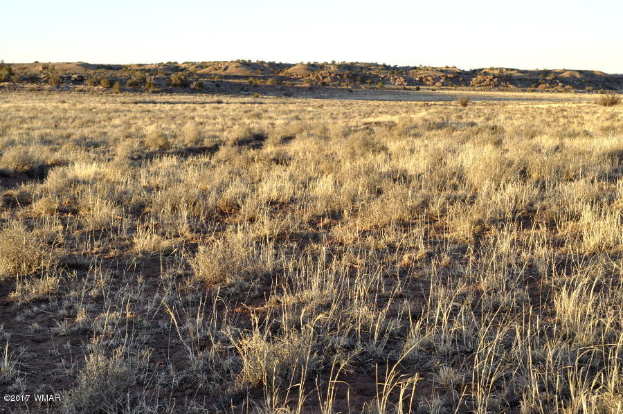 Lot 449 Woodridge Ranch Concho, AZ 85924 - Photo 9 of 9