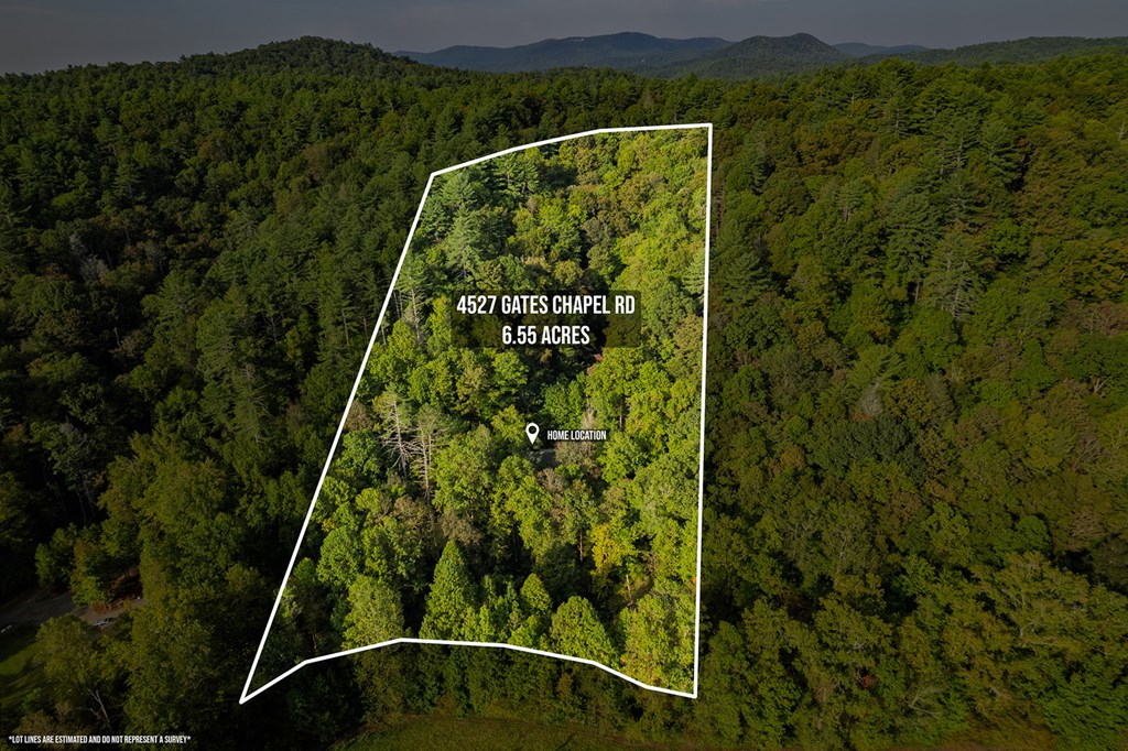 4527 Gates Chapel Road Ellijay, GA 30540 - Photo 33 of 39 Gallery Image 33