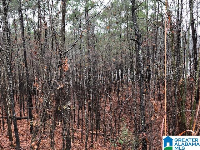 0 Lakeside Lane, Unit 31 Alpine, AL 35014 - Photo 14 of 42