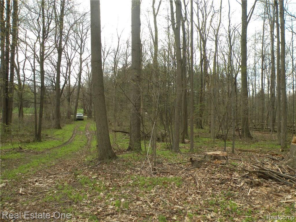 0 Mccormick Road Lapeer, MI 48446 - Photo 19 of 19