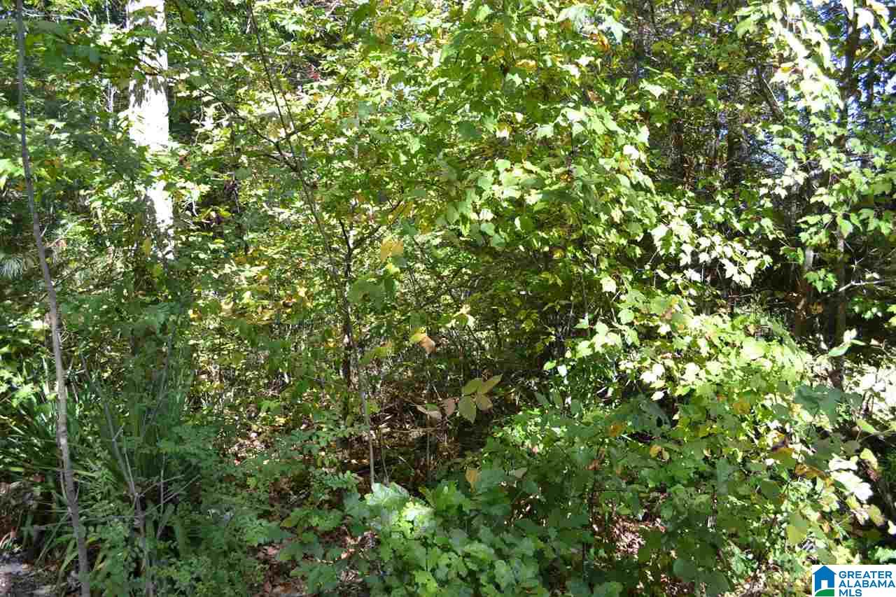 17871 Highway 75, Unit 5 7 ACRES Remlap, AL 35133 - Photo 9 of 23