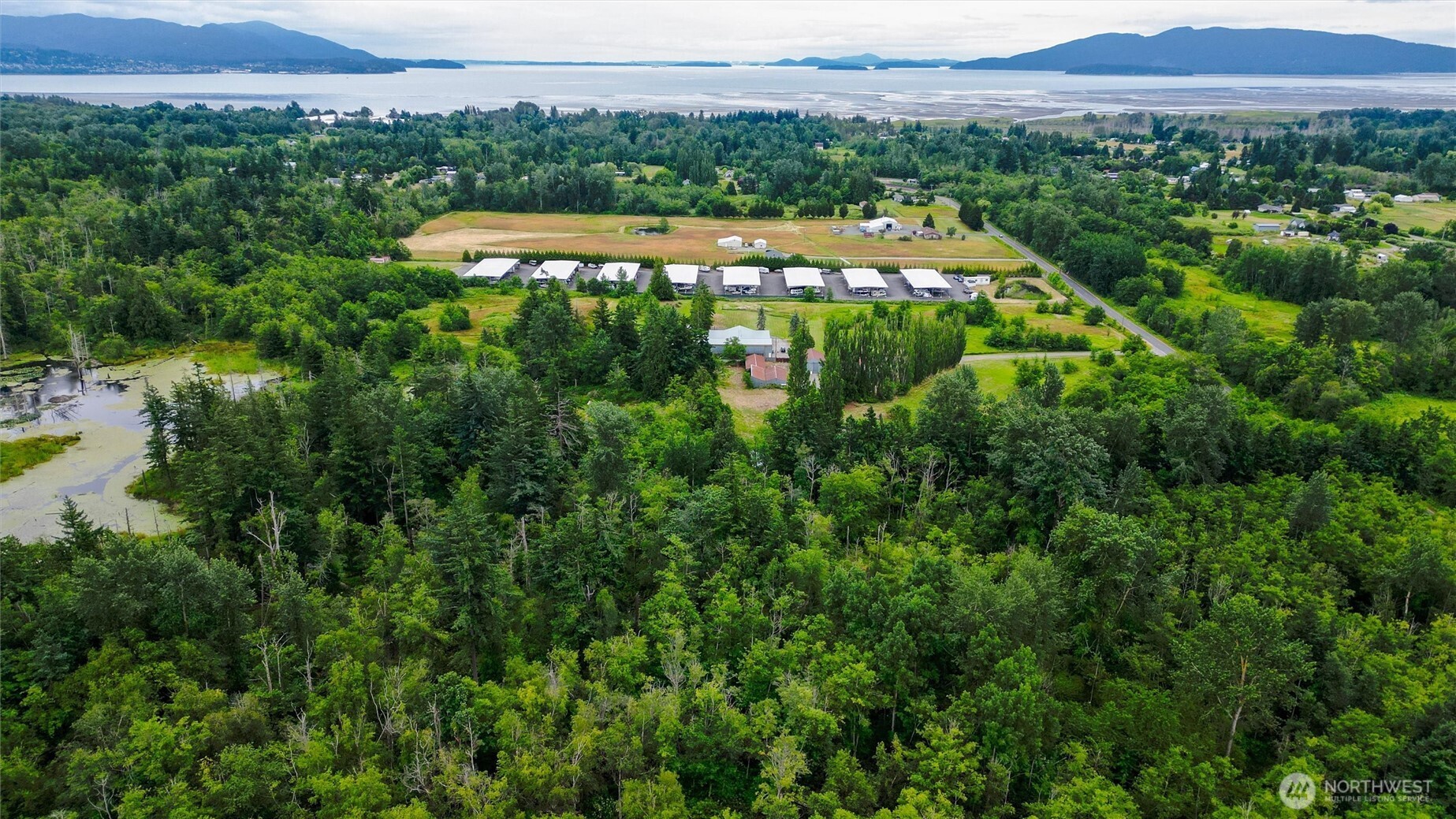 4256 Curtis Road Bellingham, WA 98226 - Photo 11 of 31 a view of a lush green forest with a house