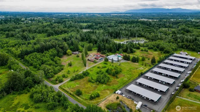 a view of a backyard with plants and trees
