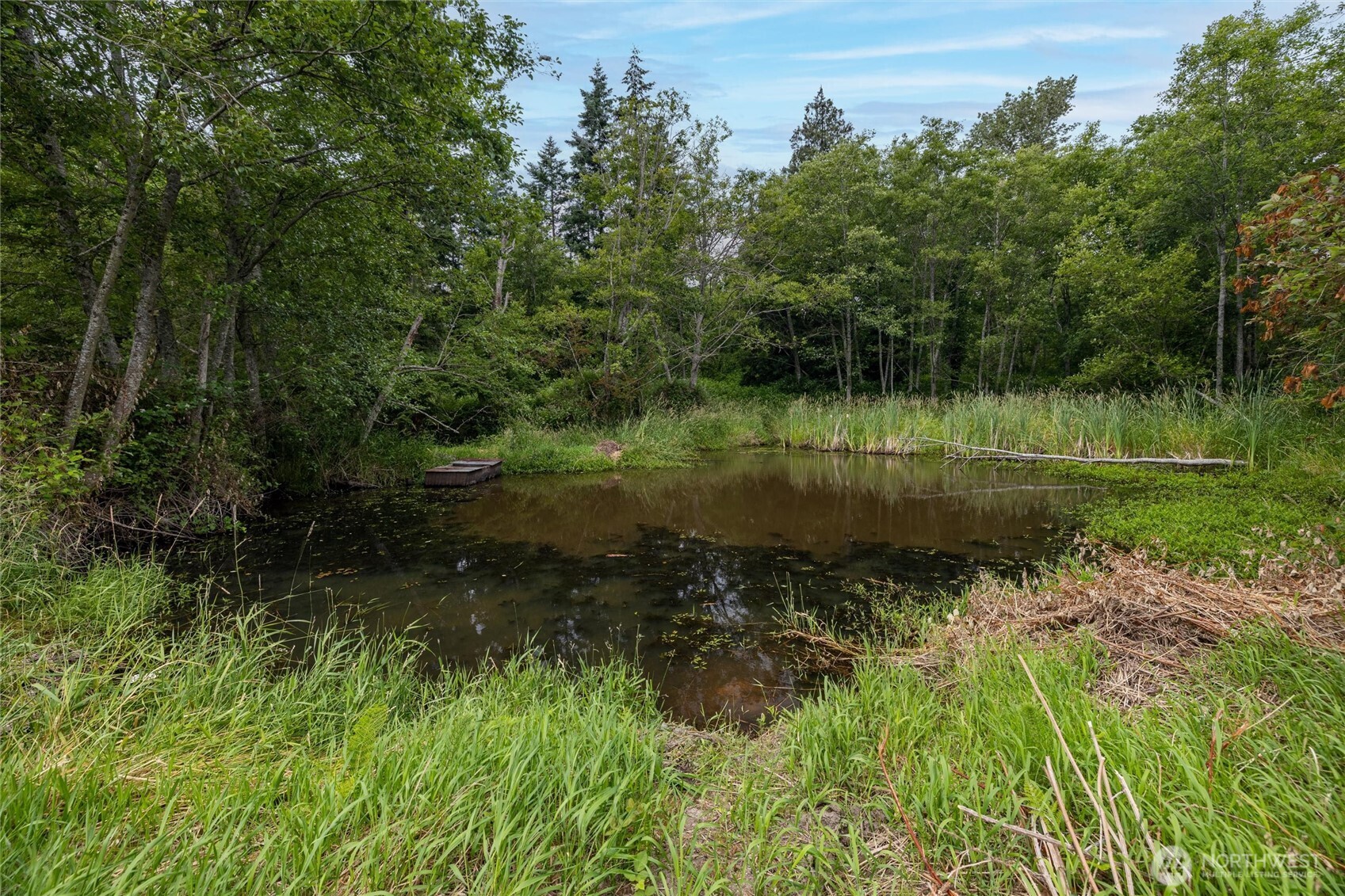 4256 Curtis Road Bellingham, WA 98226 - Photo 26 of 31 a view of a lake with a yard