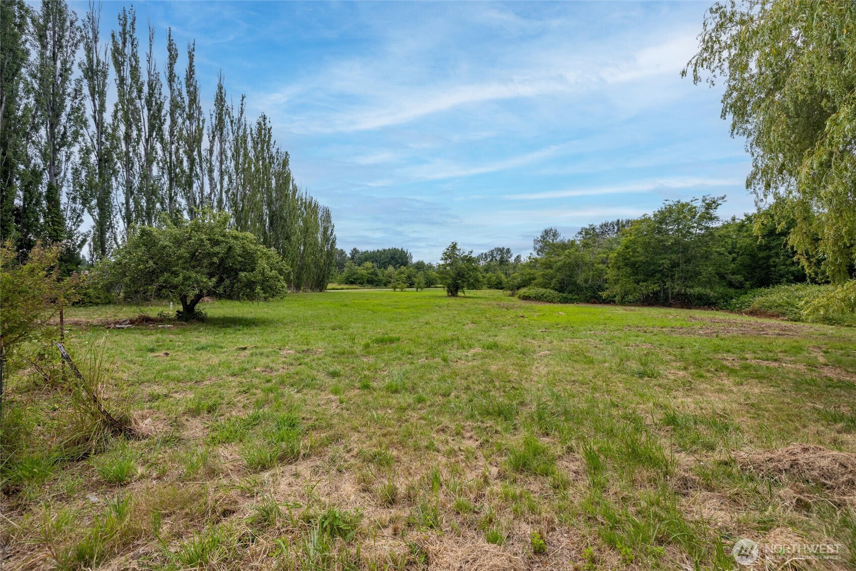 4256 Curtis Road Bellingham, WA 98226 - Photo 28 of 31 a view of a green field with lots of bushes