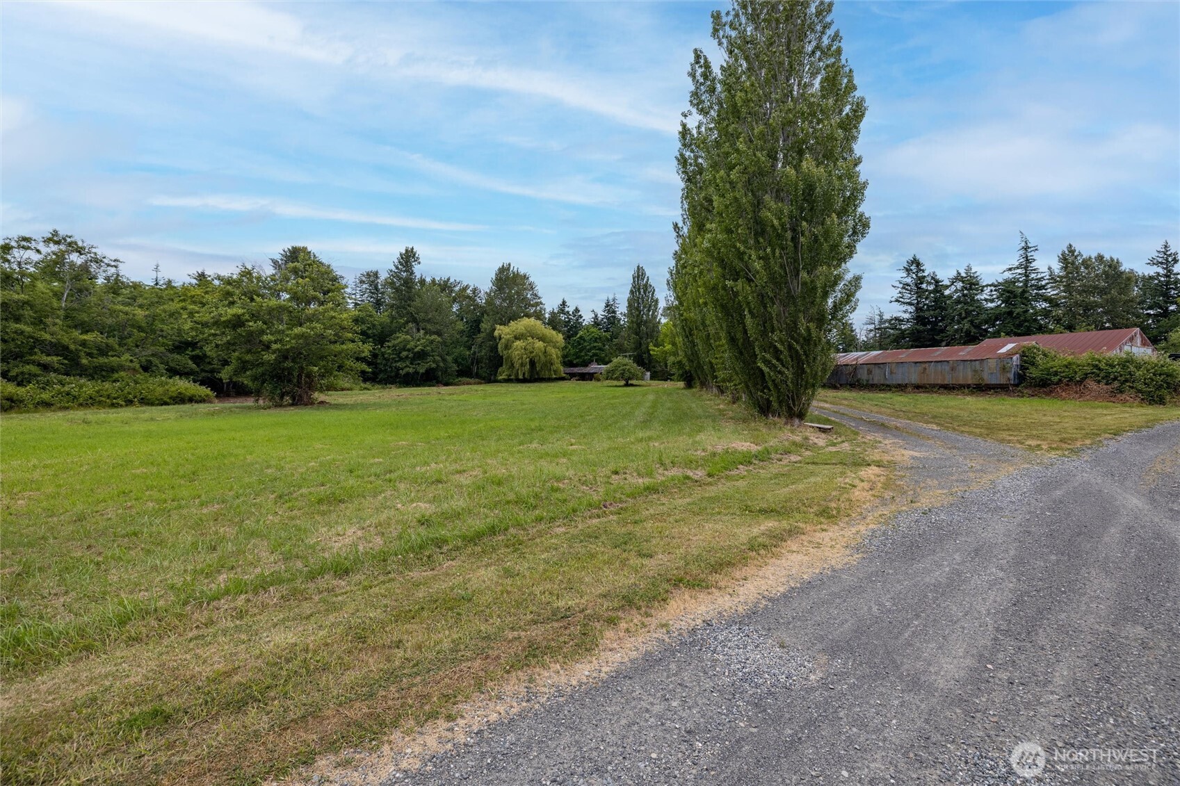 4256 Curtis Road Bellingham, WA 98226 - Photo 30 of 31 a view of a field with trees in the background