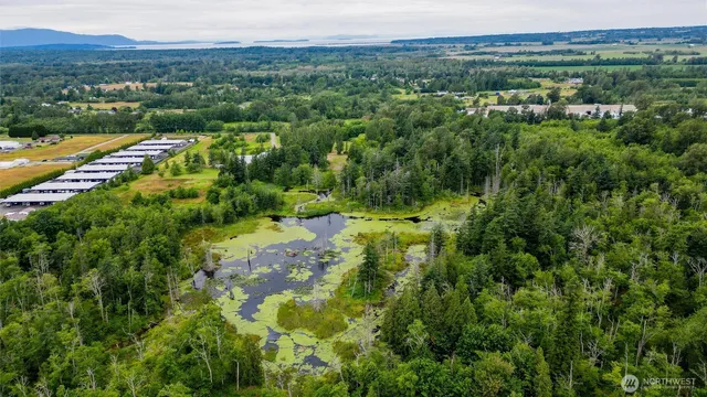 a view of a city with lush green forest