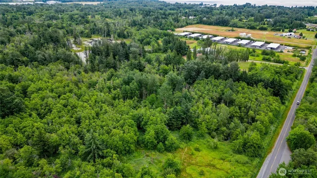 a view of a lush green forest with a house