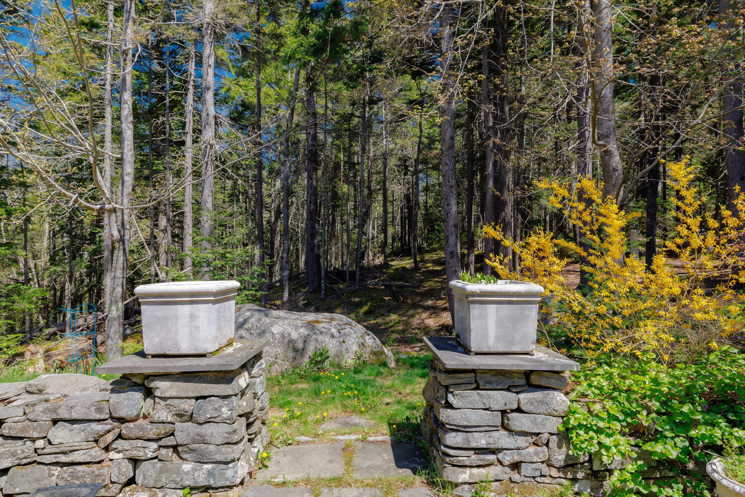 20 Giant Slide Road Mount Desert, ME 04660 - Photo 49 of 65