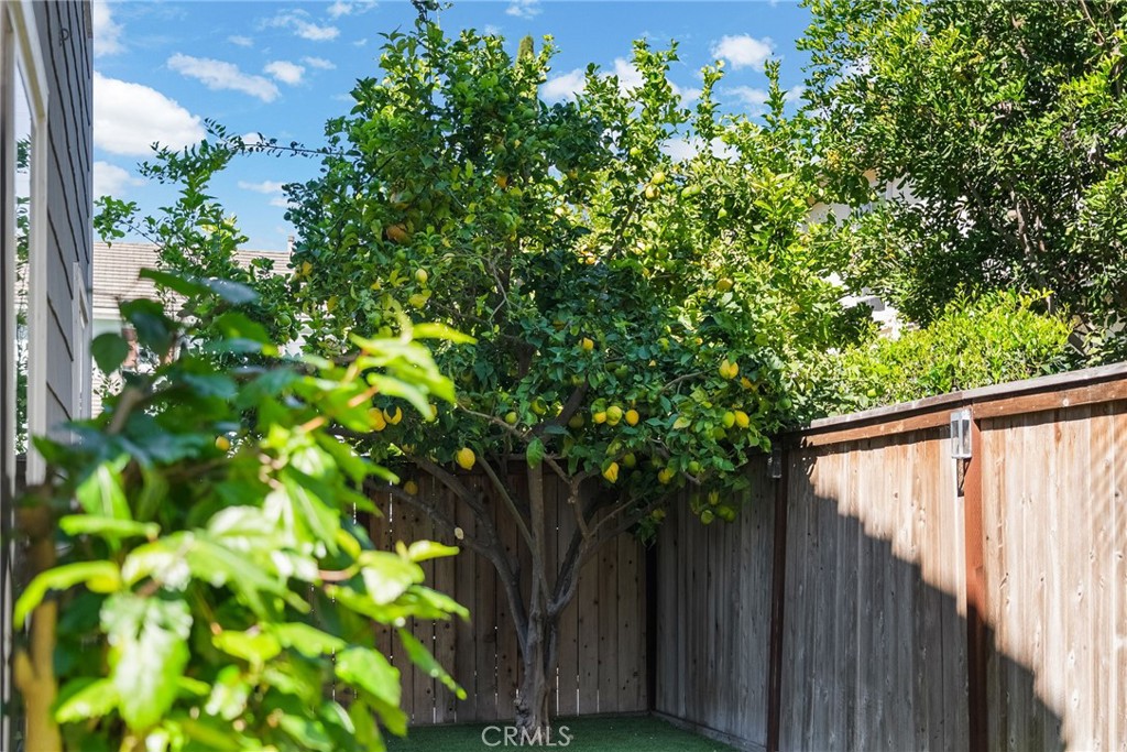 9 Flowerdale Ladera Ranch, CA 92694 - Photo 39 of 54 a backyard of a house with lots of green space