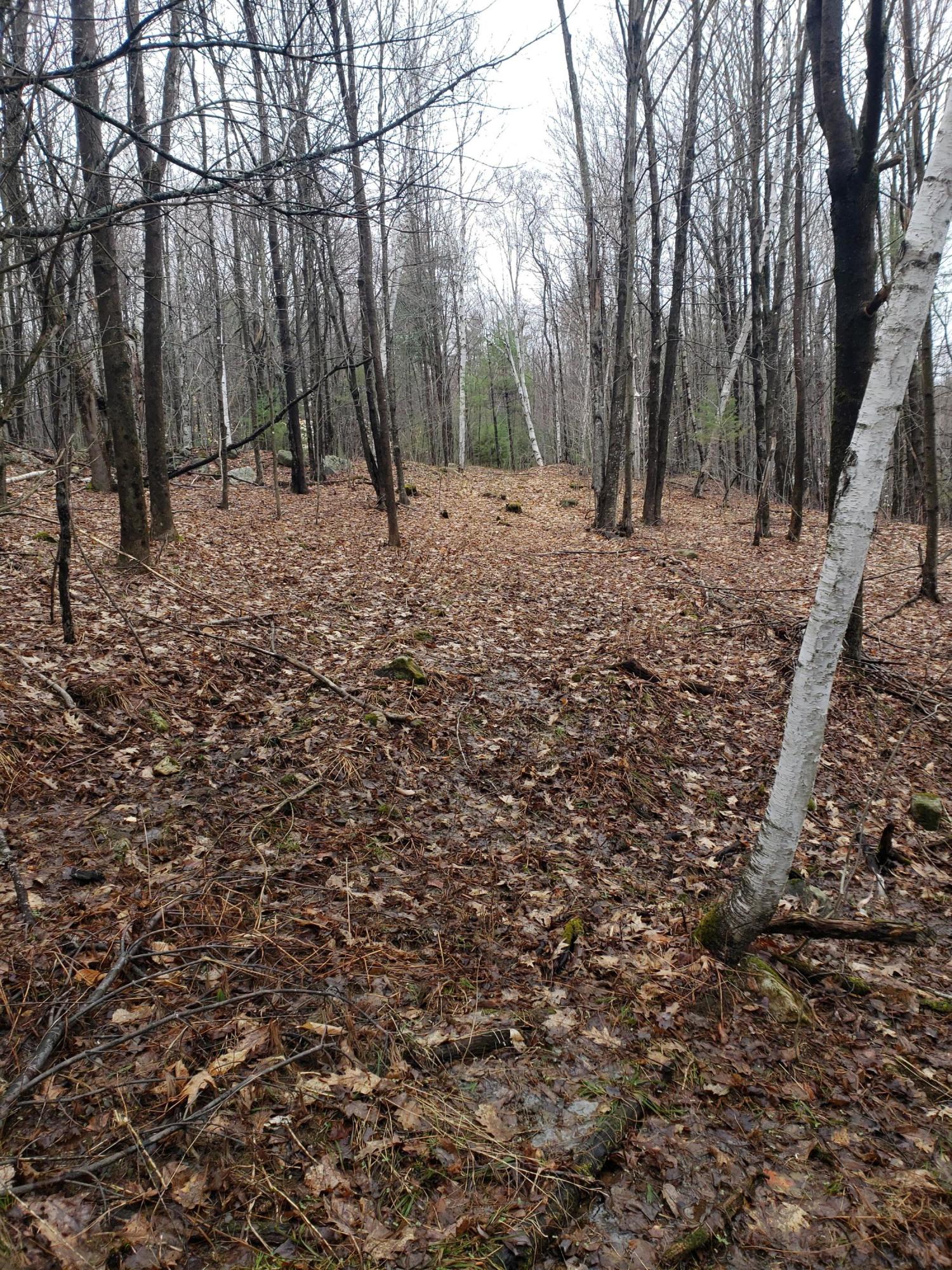 999 Coolidge Road Dixfield, ME 04224 - Photo 23 of 45 20190423_102244