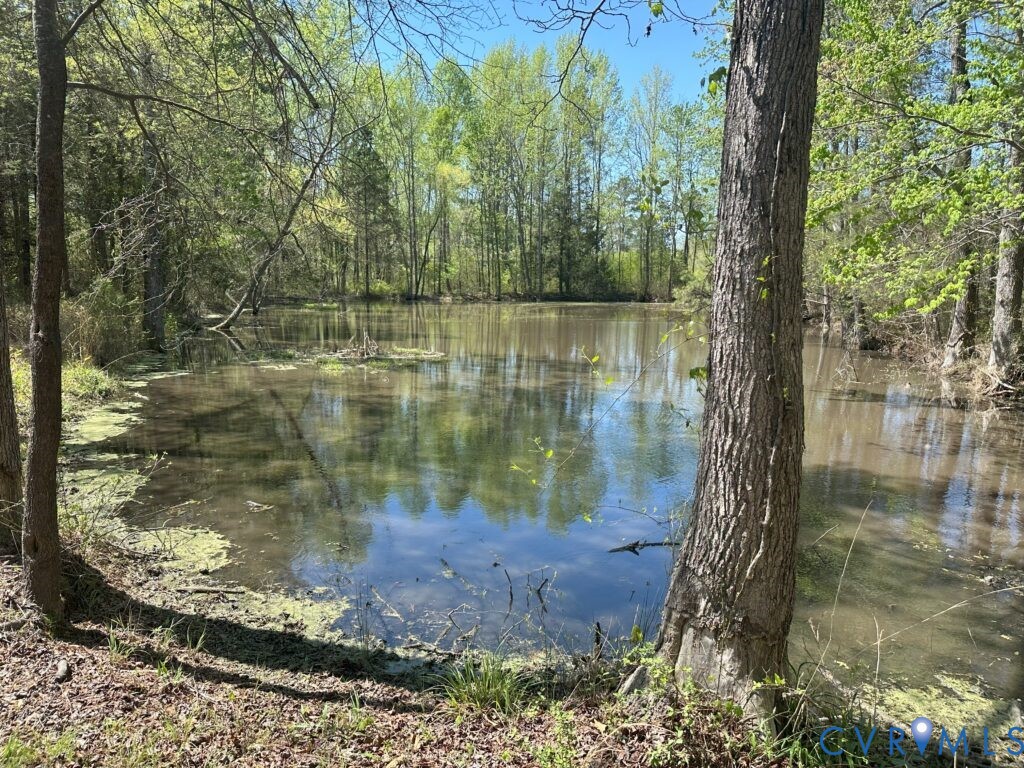 Water view featuring a heavily wooded area
