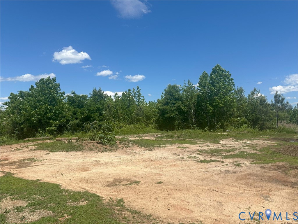 View of local wilderness