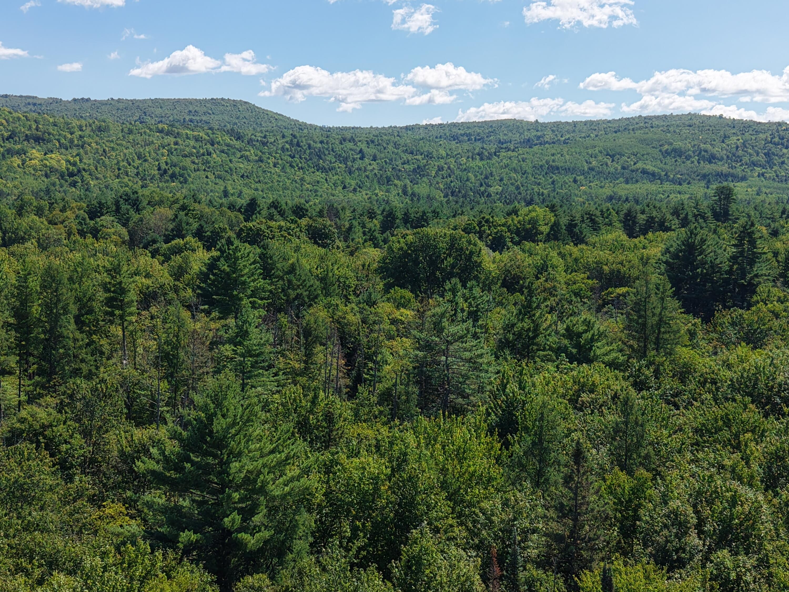 71 Birch Road New Portland, ME 04961 - Photo 96 of 100 DJI_20260826113719_0042_D