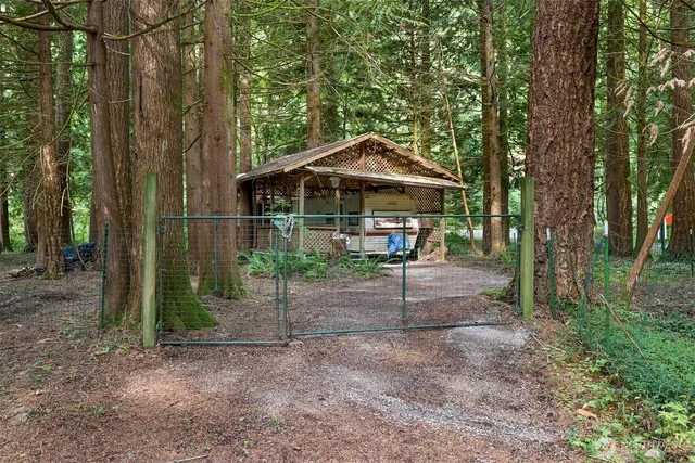 a view of a wooden house with a yard and large trees