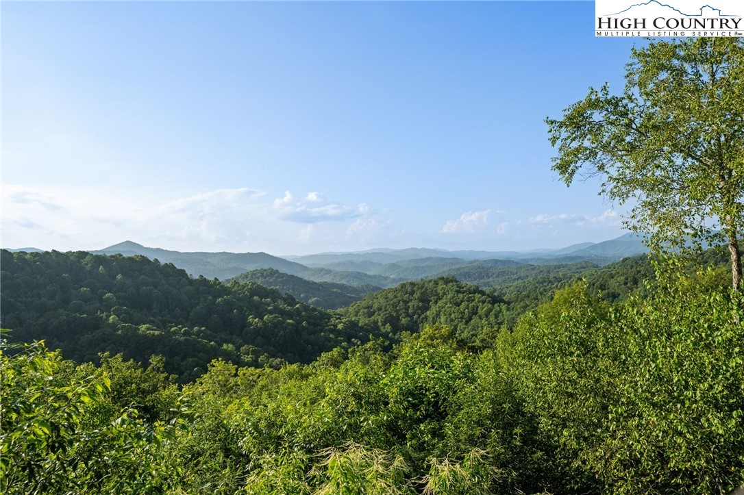 660 Ridge Haven Parkway, Unit 660 Banner Elk, NC 28604 - Photo 44 of 49