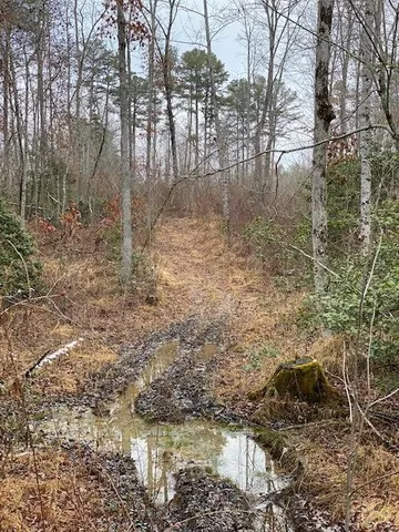 $60,000 | 5 Colony Road, Gruetli Laager, TN 37339