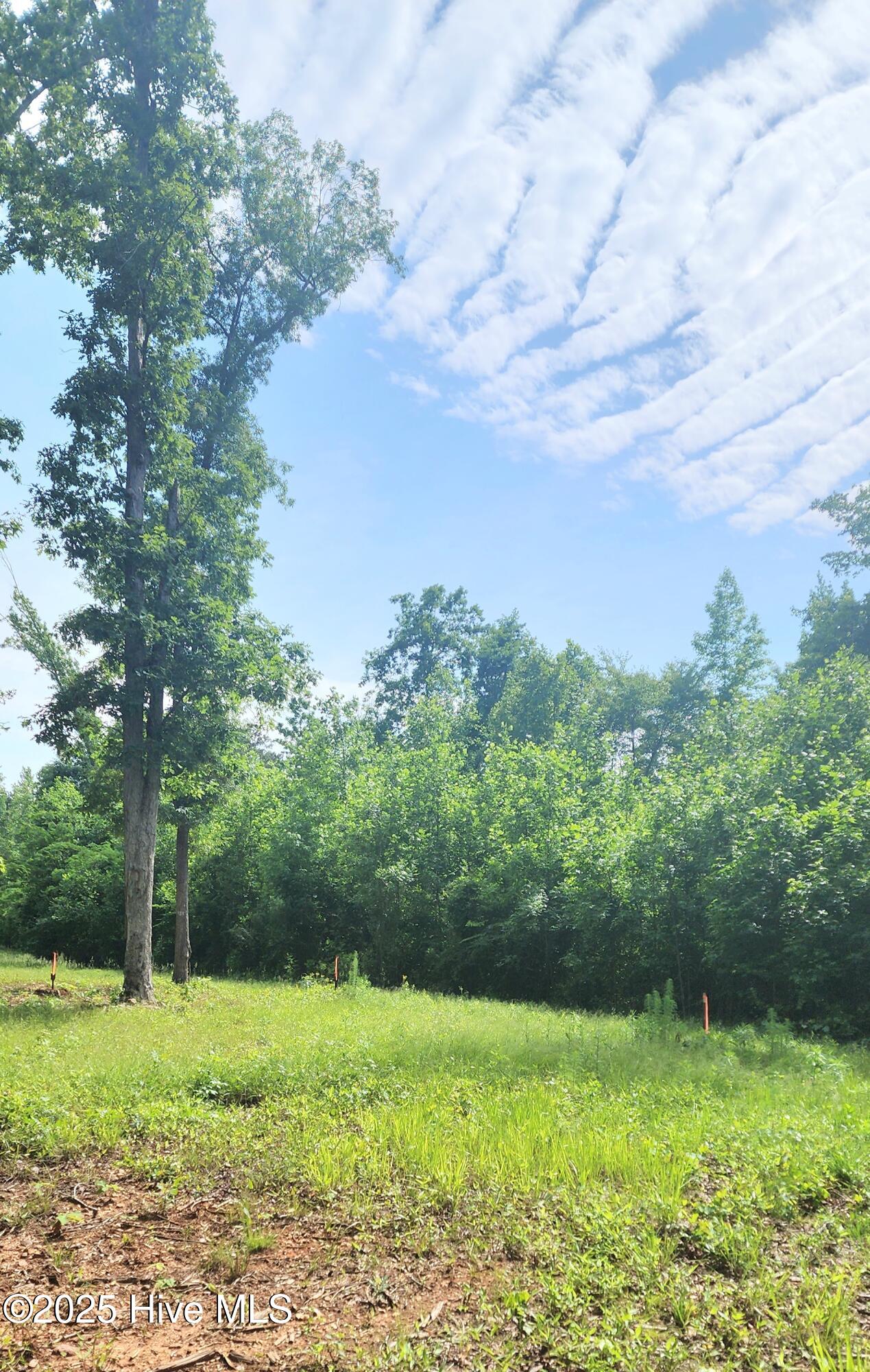 889 Whitley Road Middlesex, NC 27557 - Photo 32 of 52 20250518_154406