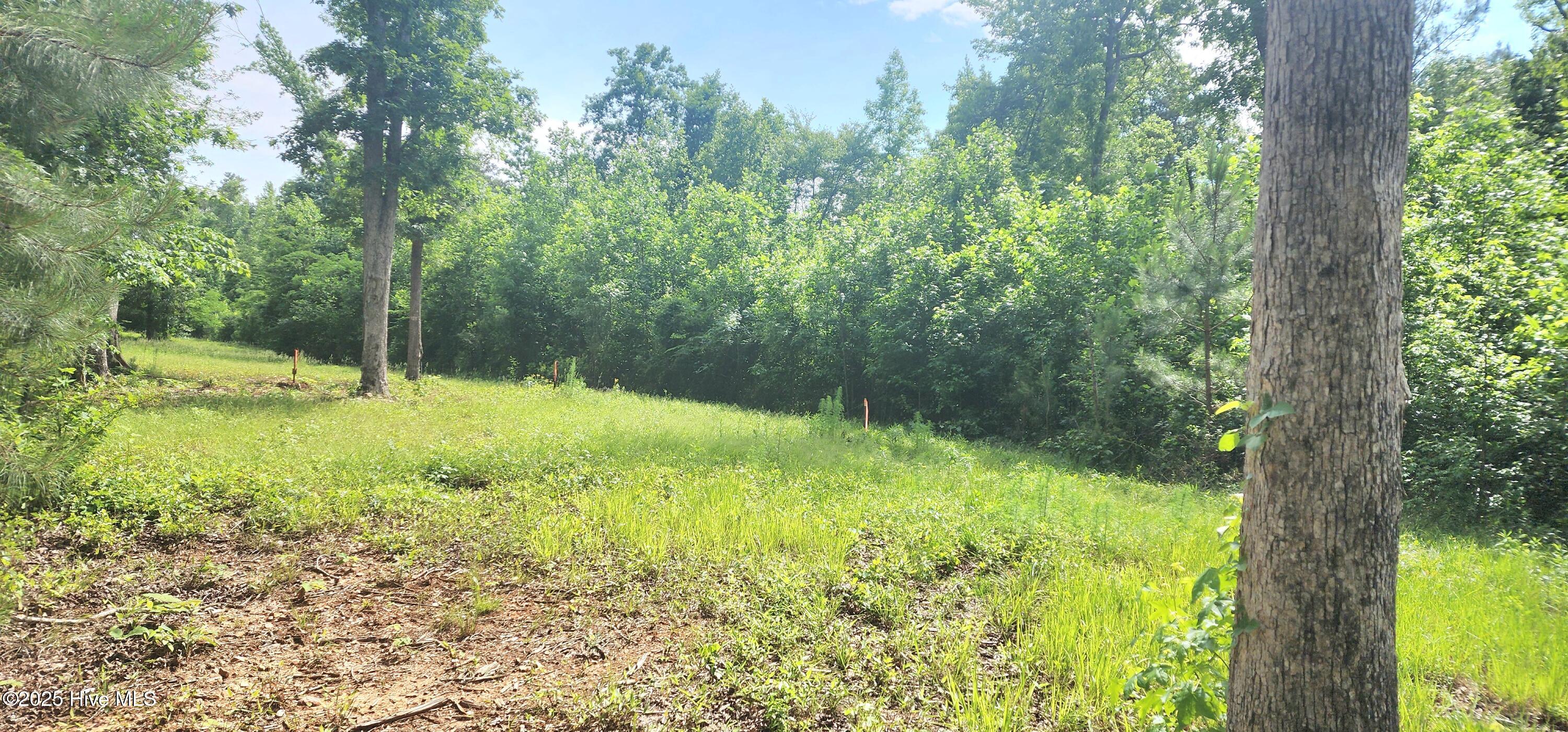 889 Whitley Road Middlesex, NC 27557 - Photo 33 of 52 20250518_154410