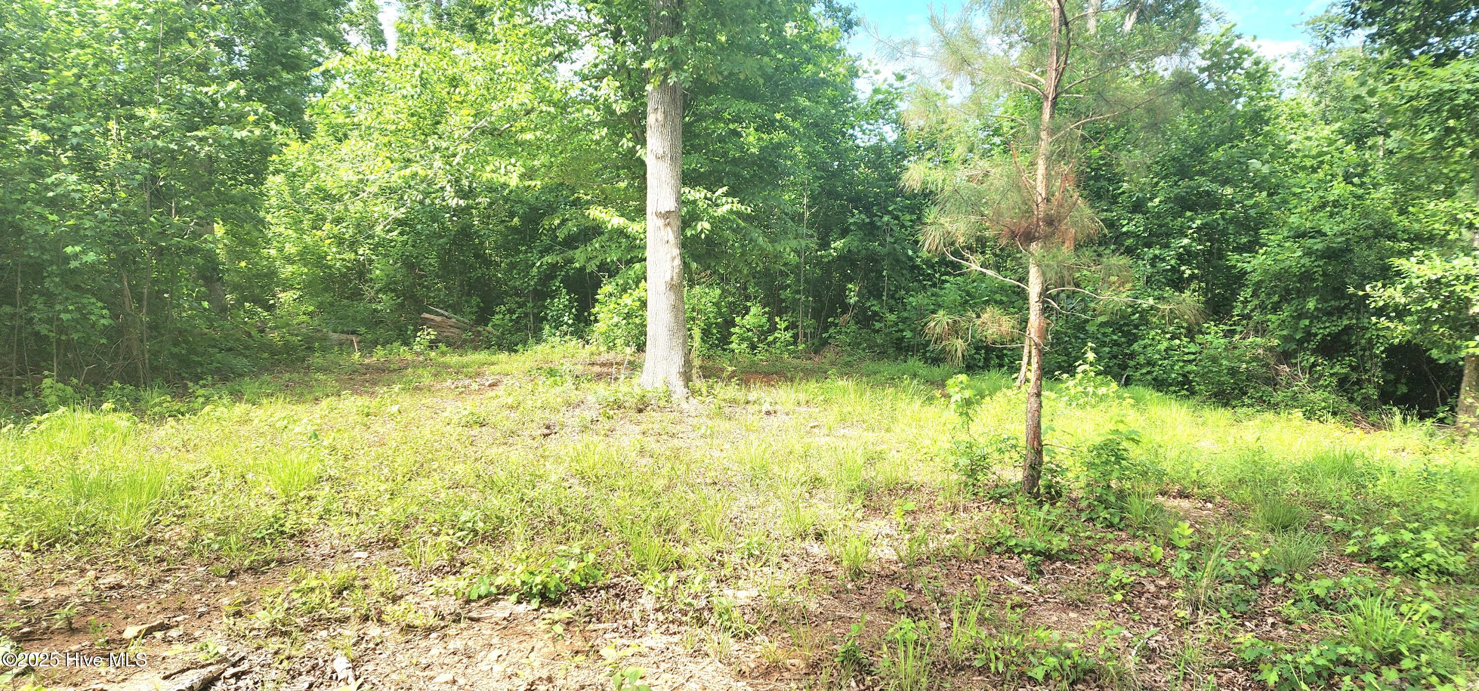 889 Whitley Road Middlesex, NC 27557 - Photo 34 of 52 20250518_154415