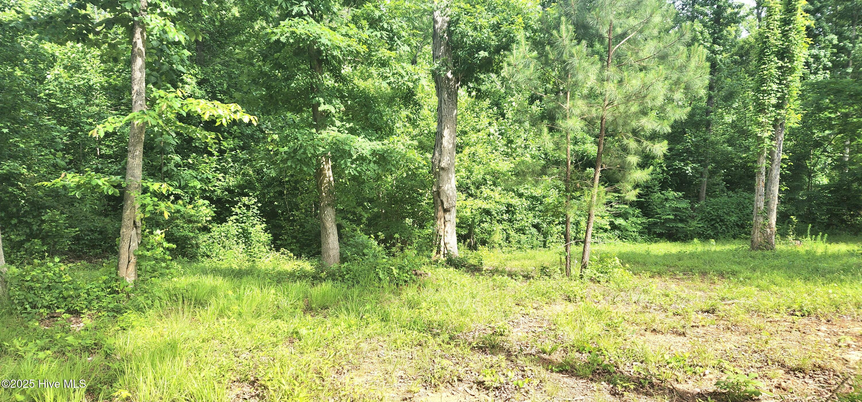 889 Whitley Road Middlesex, NC 27557 - Photo 35 of 52 20250518_154424