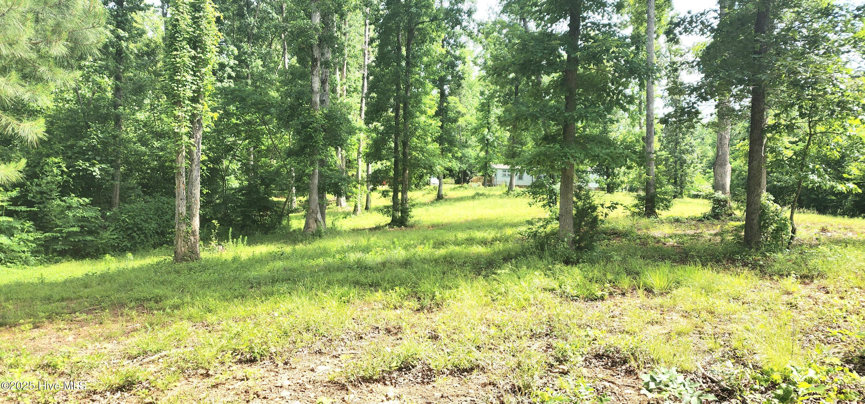 889 Whitley Road Middlesex, NC 27557 - Photo 36 of 52 20250518_154434