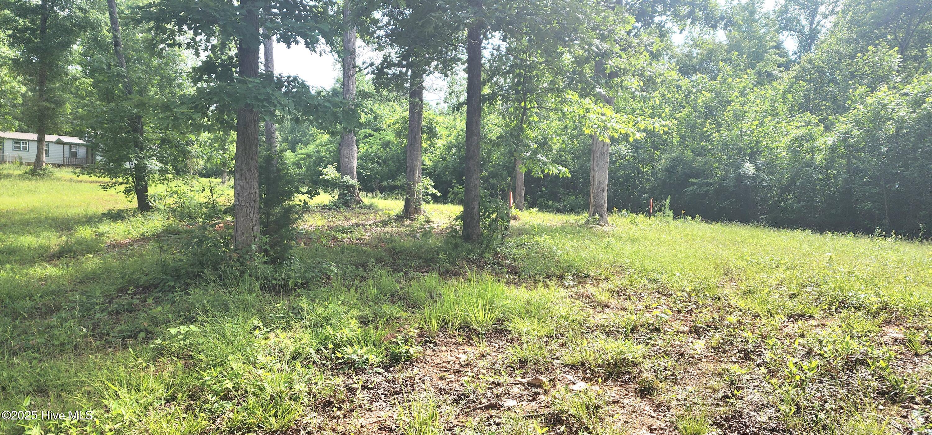 889 Whitley Road Middlesex, NC 27557 - Photo 37 of 52 20250518_154446