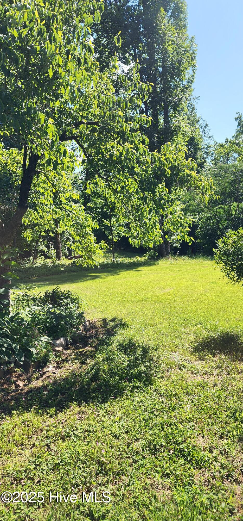 889 Whitley Road Middlesex, NC 27557 - Photo 41 of 52 20250523_162839