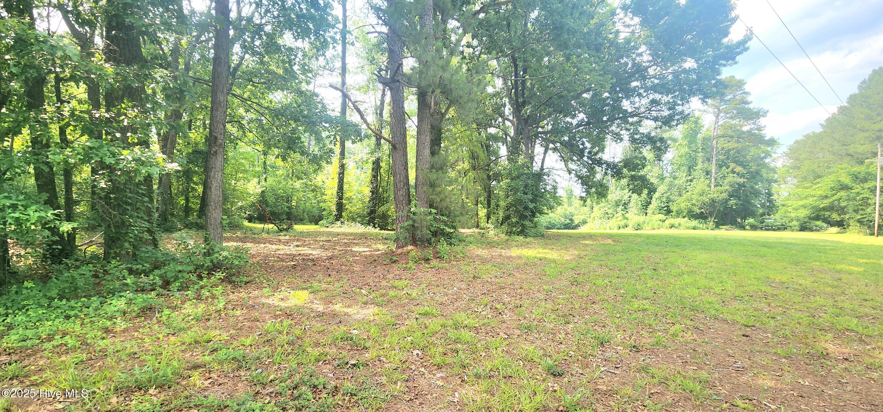 889 Whitley Road Middlesex, NC 27557 - Photo 44 of 52 20250531_154715