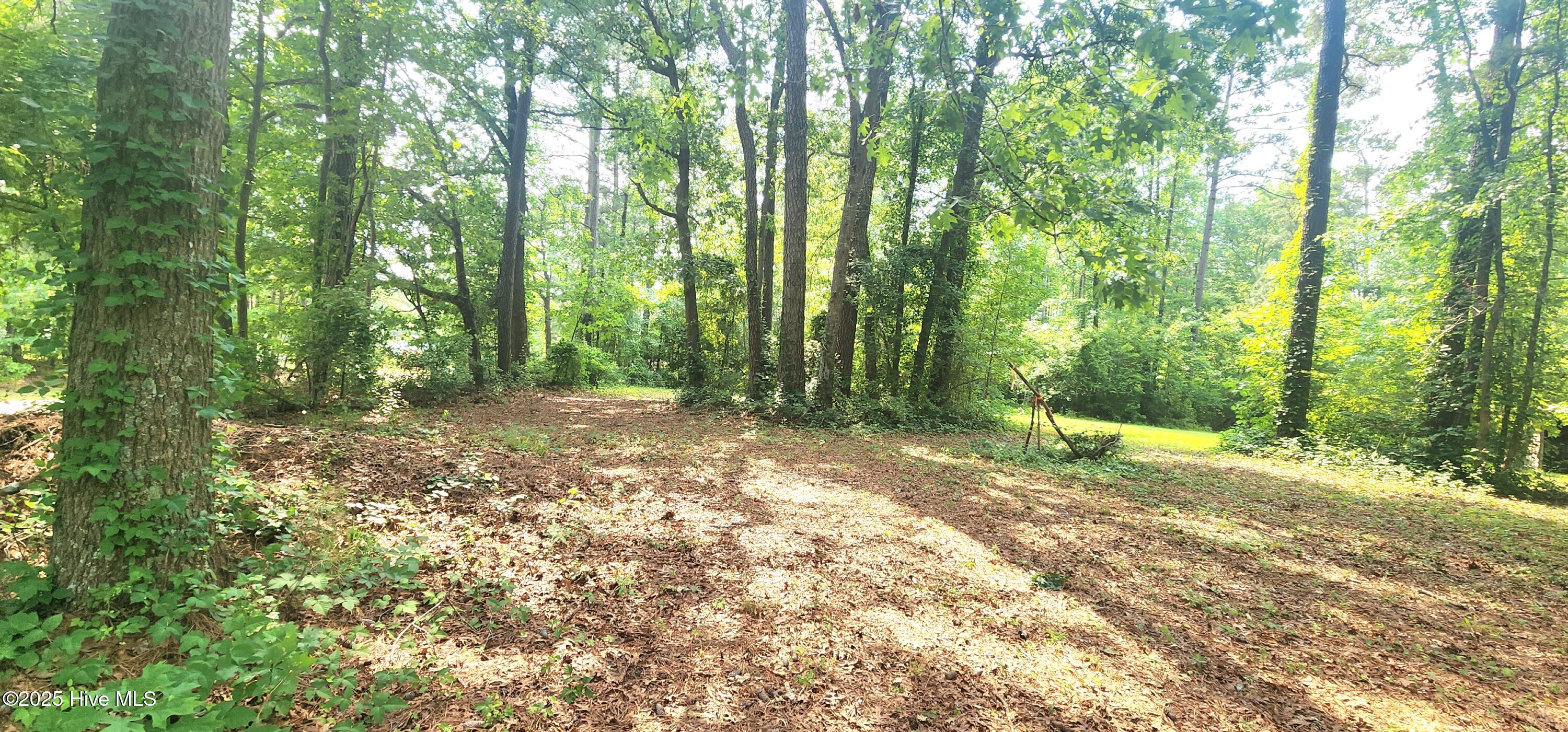 889 Whitley Road Middlesex, NC 27557 - Photo 45 of 52 20250531_154729