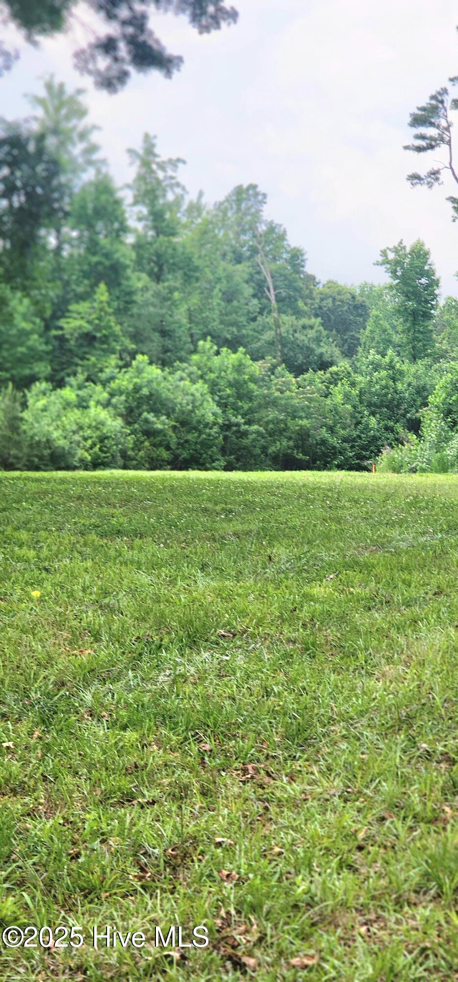 889 Whitley Road Middlesex, NC 27557 - Photo 48 of 52 20250531_155113