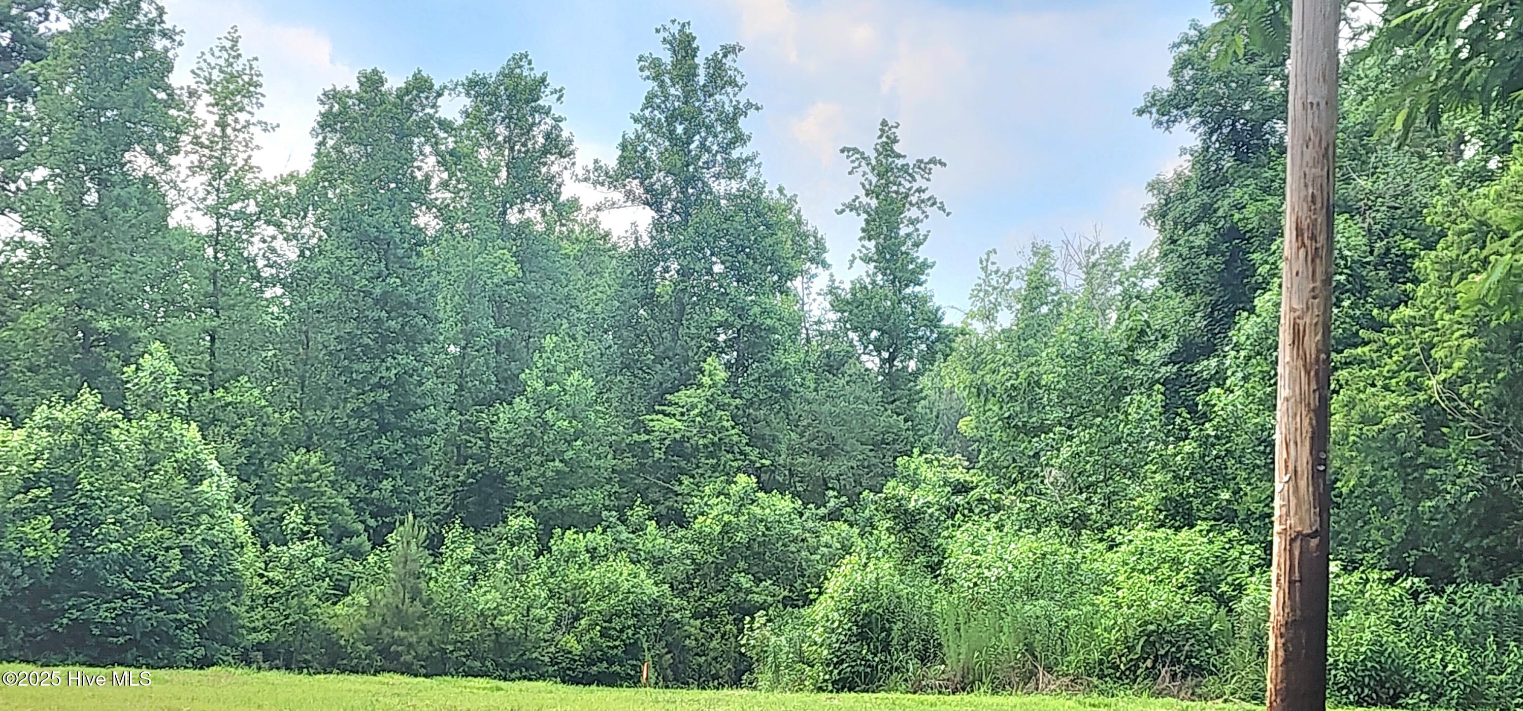 889 Whitley Road Middlesex, NC 27557 - Photo 49 of 52 20250531_155203