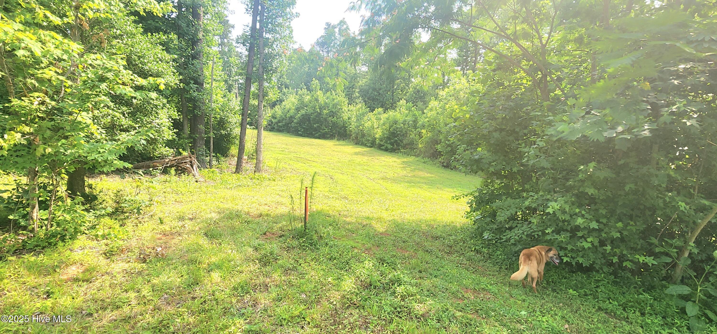 889 Whitley Road Middlesex, NC 27557 - Photo 50 of 52 20250531_155403