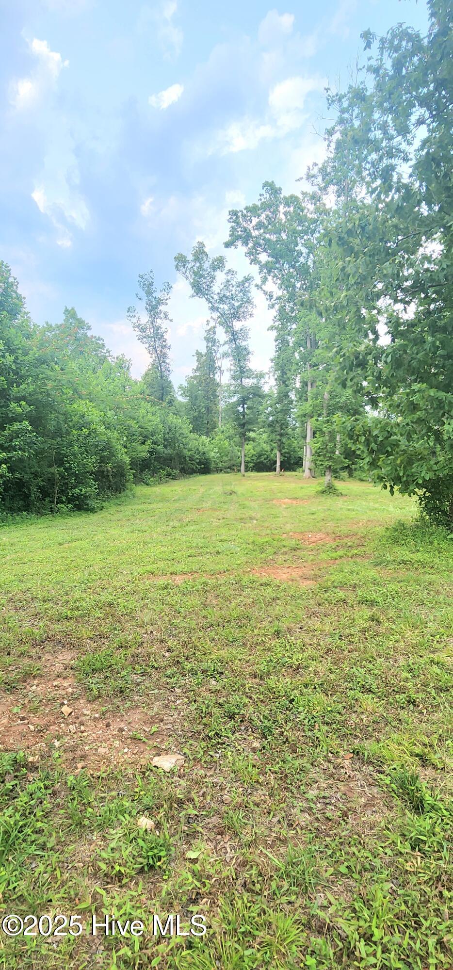 889 Whitley Road Middlesex, NC 27557 - Photo 51 of 52 20250531_155449