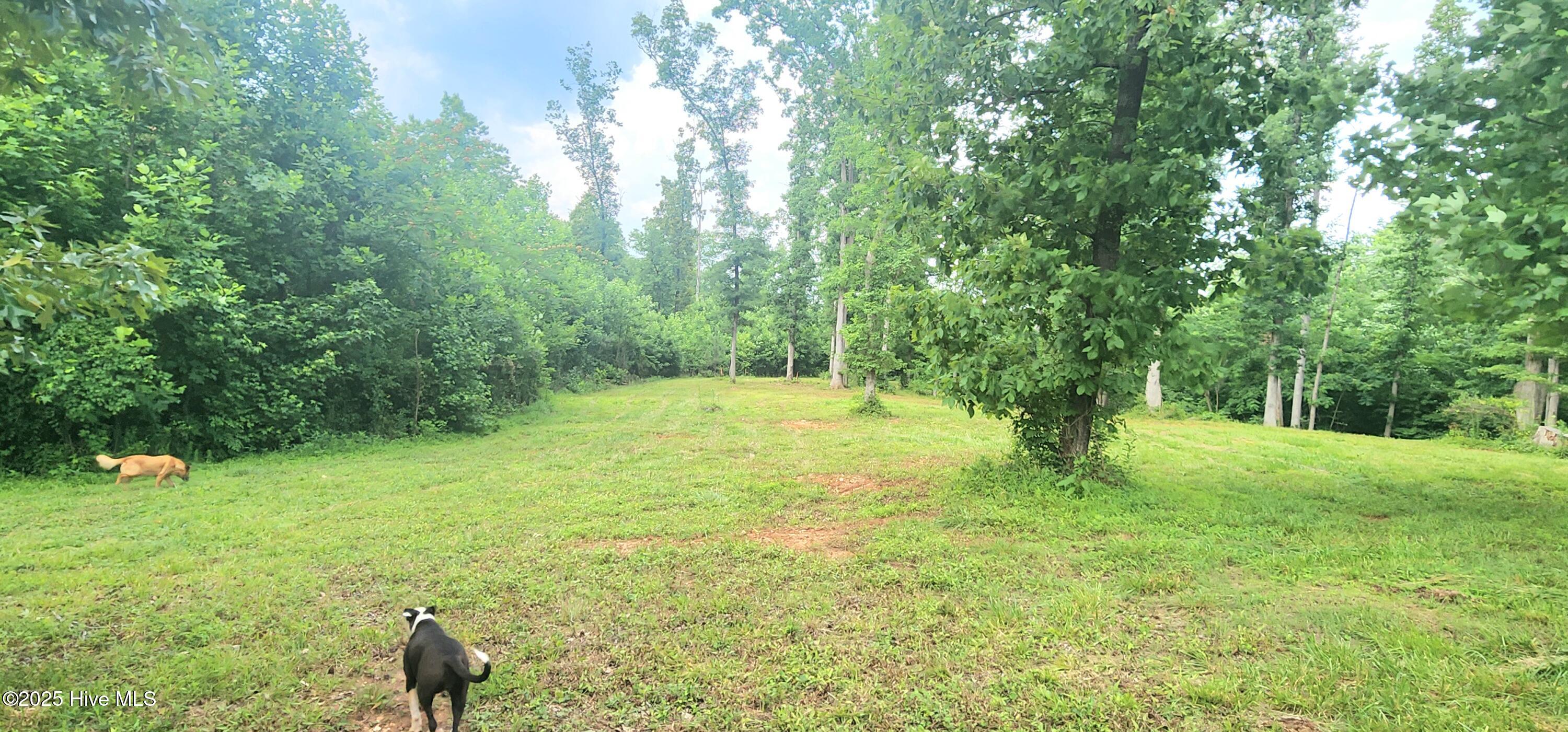 889 Whitley Road Middlesex, NC 27557 - Photo 52 of 52 20250531_155453