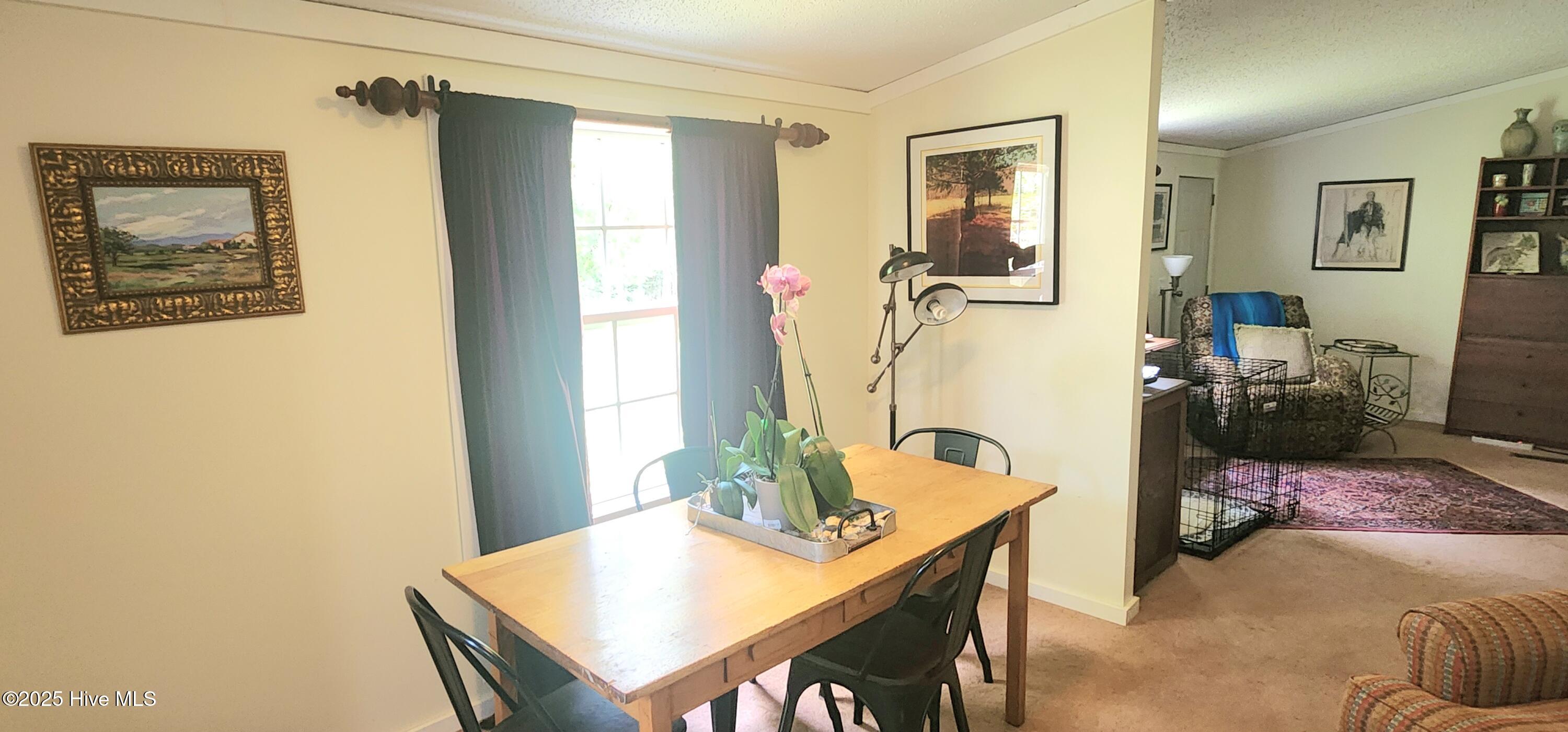 889 Whitley Road Middlesex, NC 27557 - Photo 8 of 52 20250531_155957